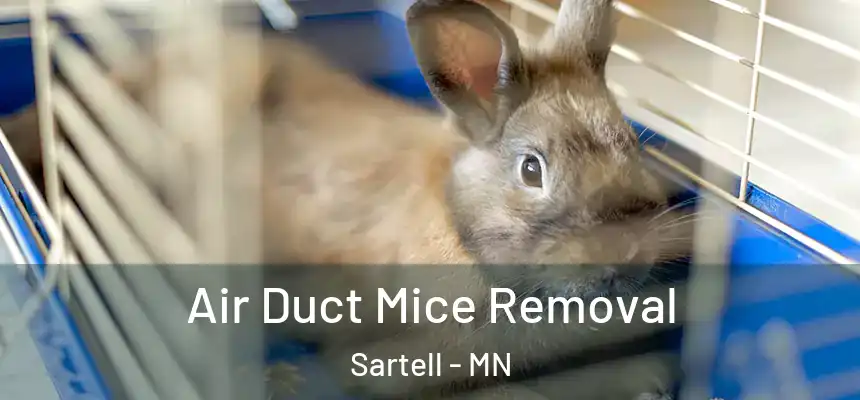  Air Duct Mice Removal Sartell - MN