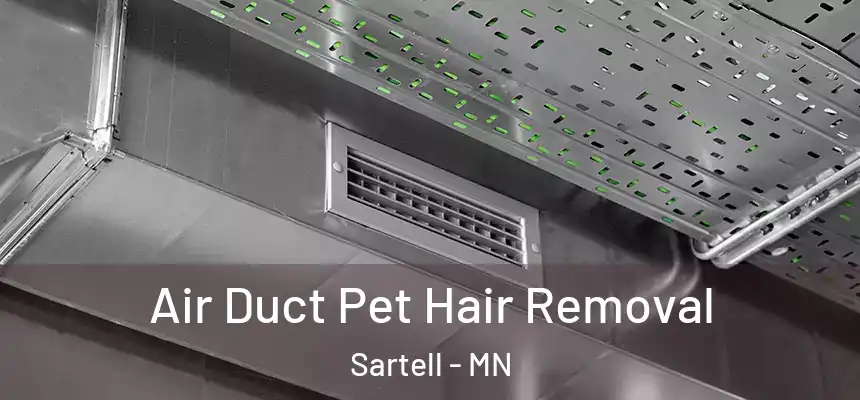 Air Duct Pet Hair Removal Sartell - MN