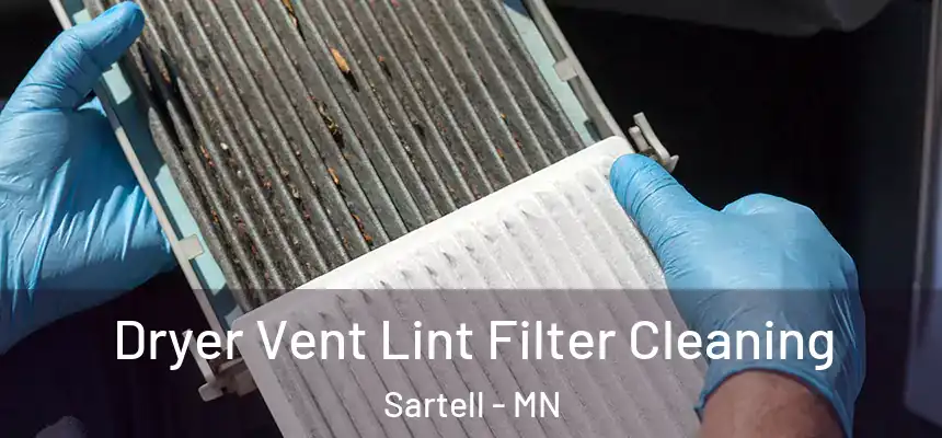  Dryer Vent Lint Filter Cleaning Sartell - MN