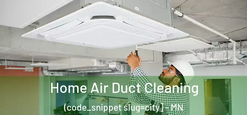  Home Air Duct Cleaning (code_snippet slug=city] - MN