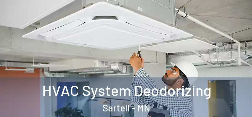  HVAC System Deodorizing Sartell - MN