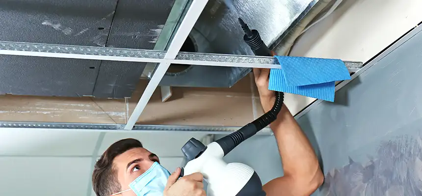 Our Air Duct Rodent Removal Services in Sartell, MN