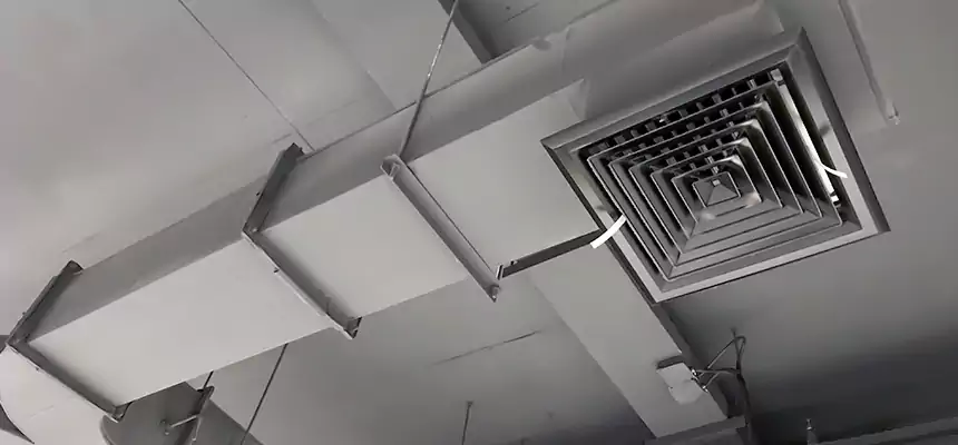 Restorative Allergy Relief Vent Cleaning – Coil, Blower & Housing Detail in Sartell