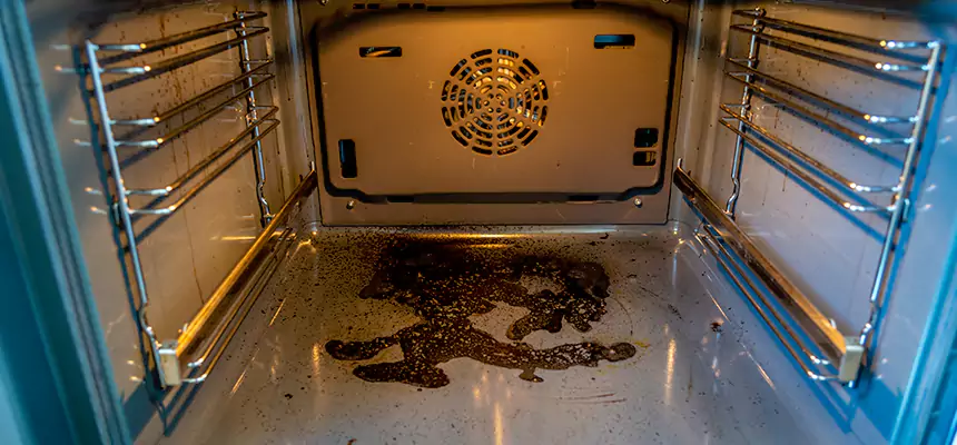 Our Dryer Vent Mold Cleaning Services in Sartell, MN