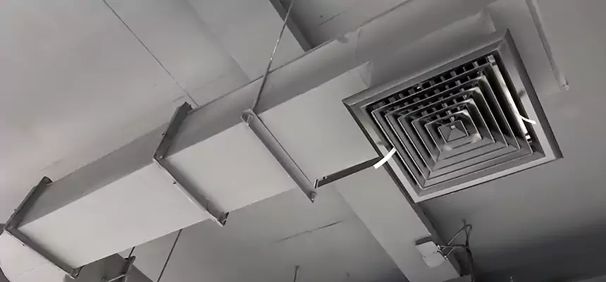 Our Pest Removal From Ducts Services in Sartell, MN