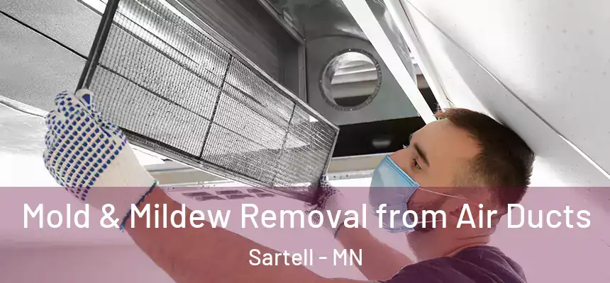  Mold & Mildew Removal from Air Ducts Sartell - MN