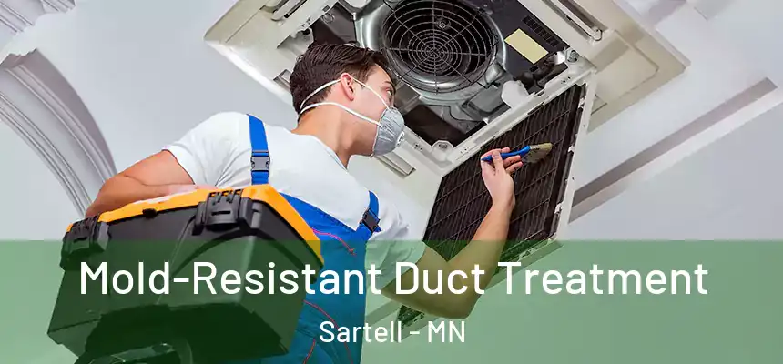 Mold-Resistant Duct Treatment Sartell - MN