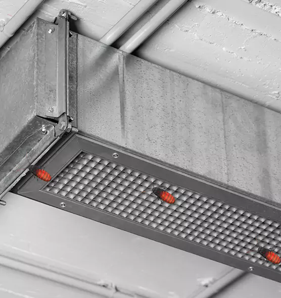 About Air Duct Cockroach Removal in Sartell, MN