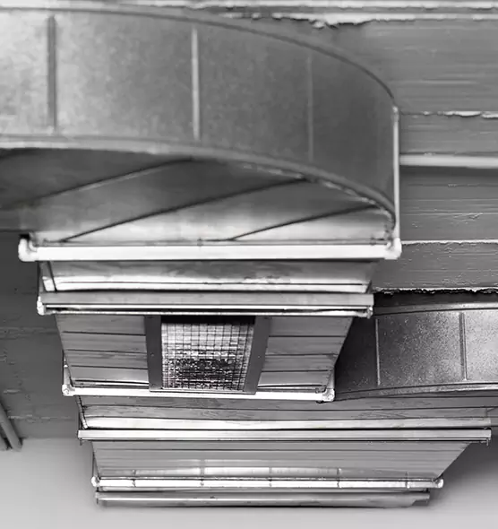 Professional Air Duct Pet Hair Removal in Sartell, MN