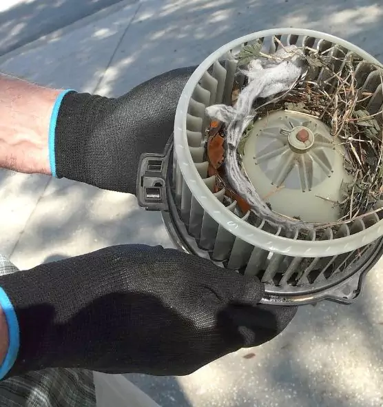 About Air Duct Rat Removal in Sartell, MN