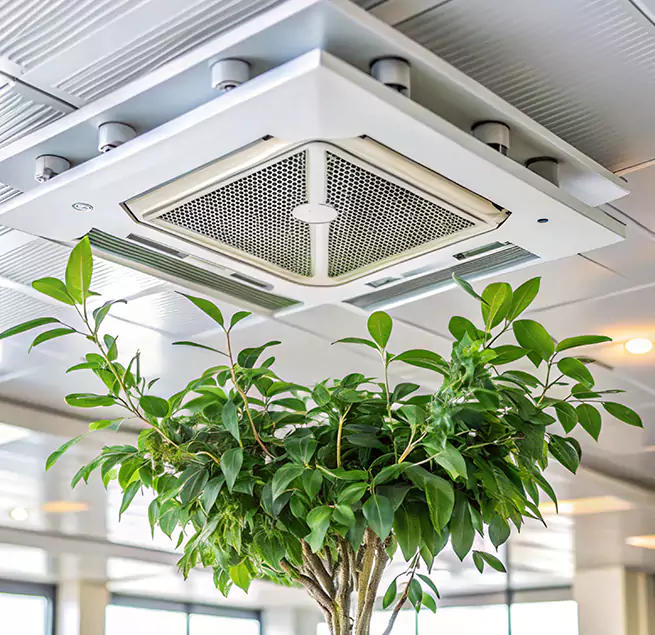 Why Homeowners & Businesses Trust Us in Sartell, MN?